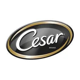 Cesar Copy